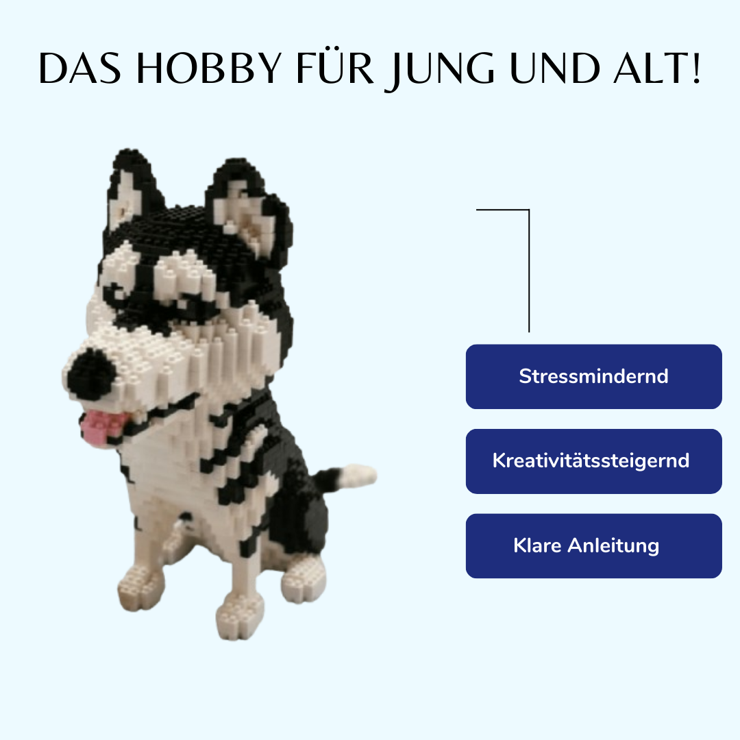 Husky | Bausteine