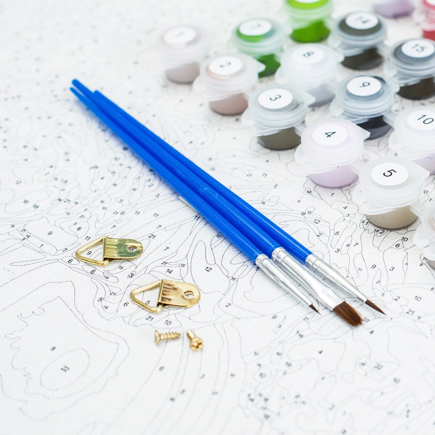 Affe | Malen nach Zahlen