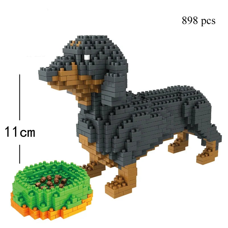 48097481720148