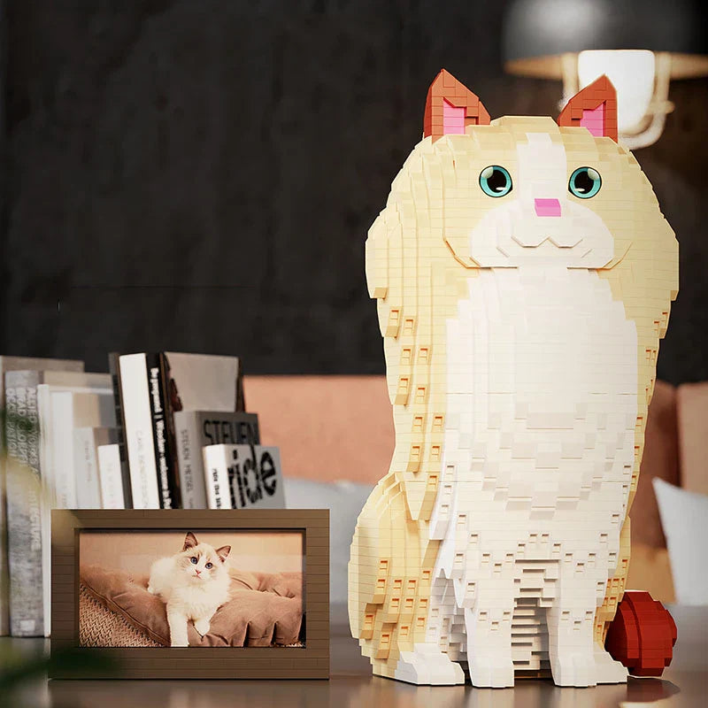 Ragdoll-Katze | Bausteine
