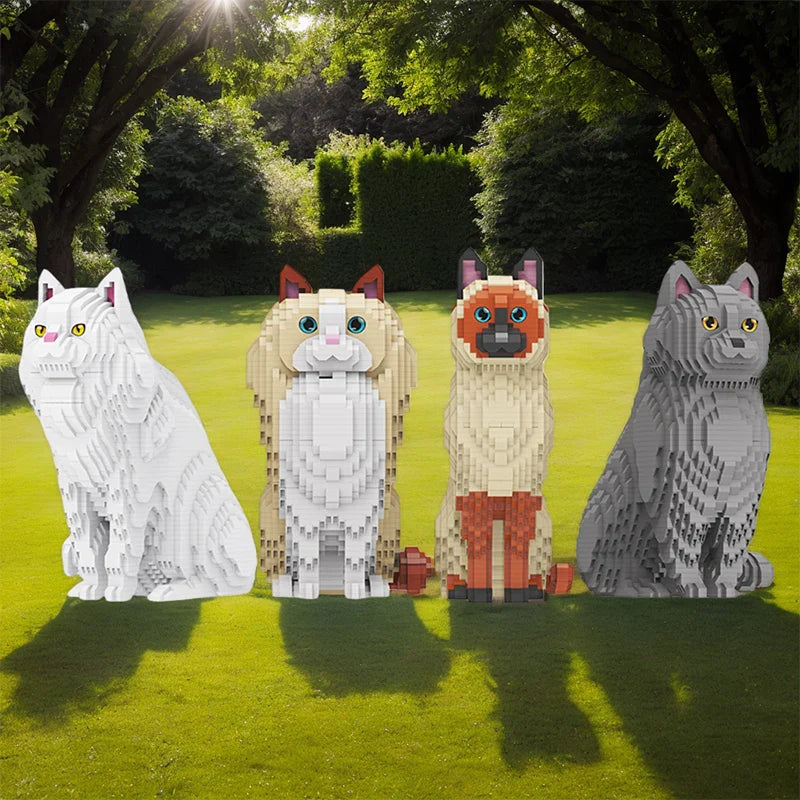 Ragdoll-Katze | Bausteine