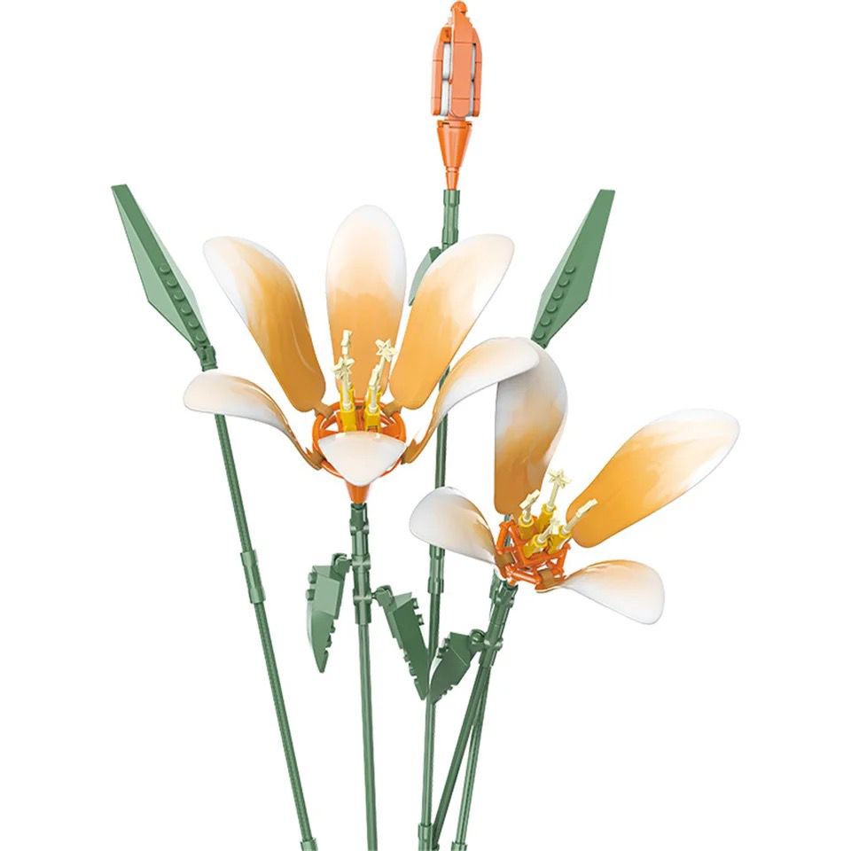 Farbige Lilien