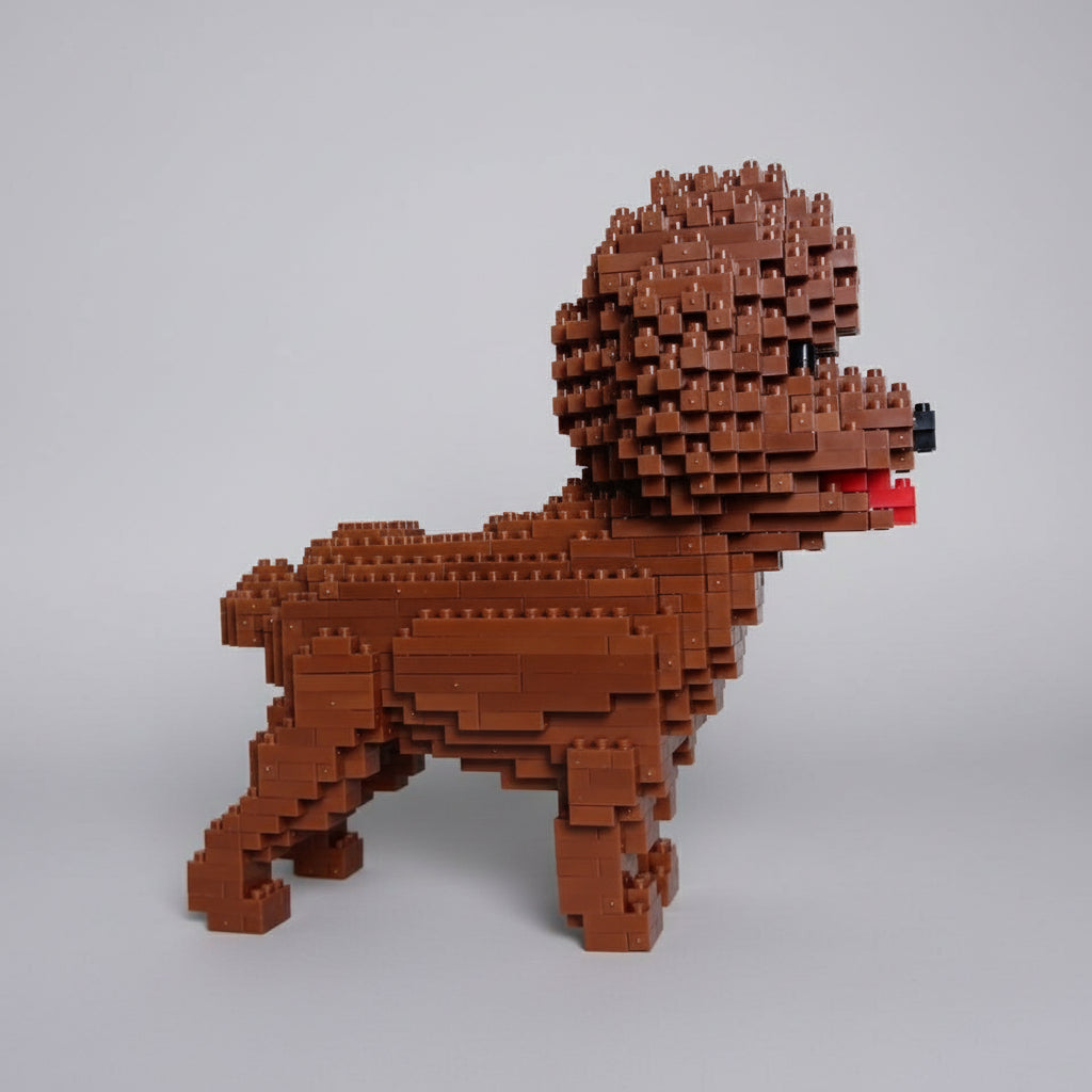 Brauner Pudel | Bausteine