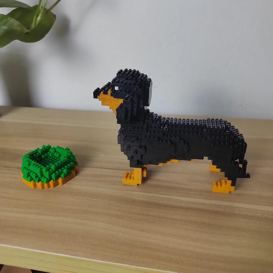 Mini-Dackel