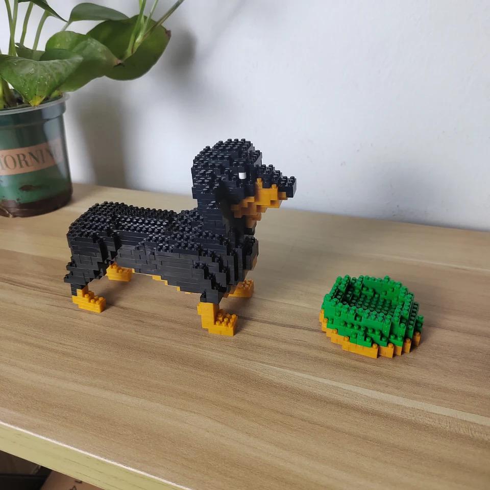 Mini-Dackel