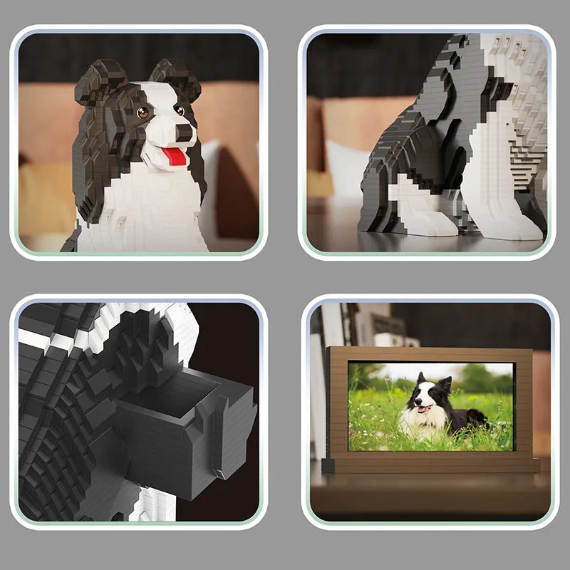 Border Collie | Bausteine