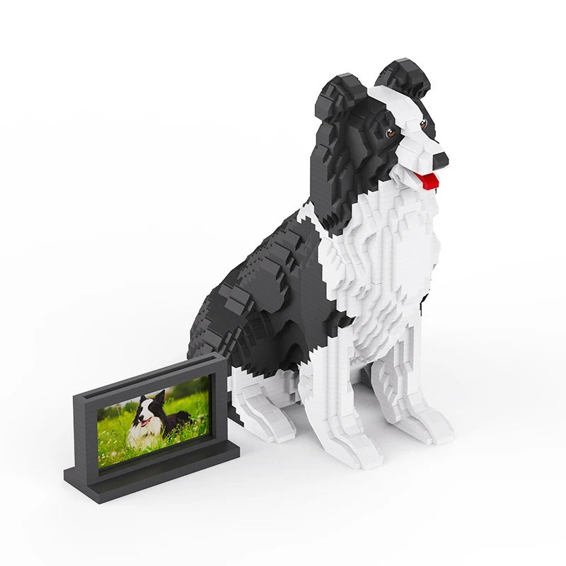 Border Collie | Bausteine