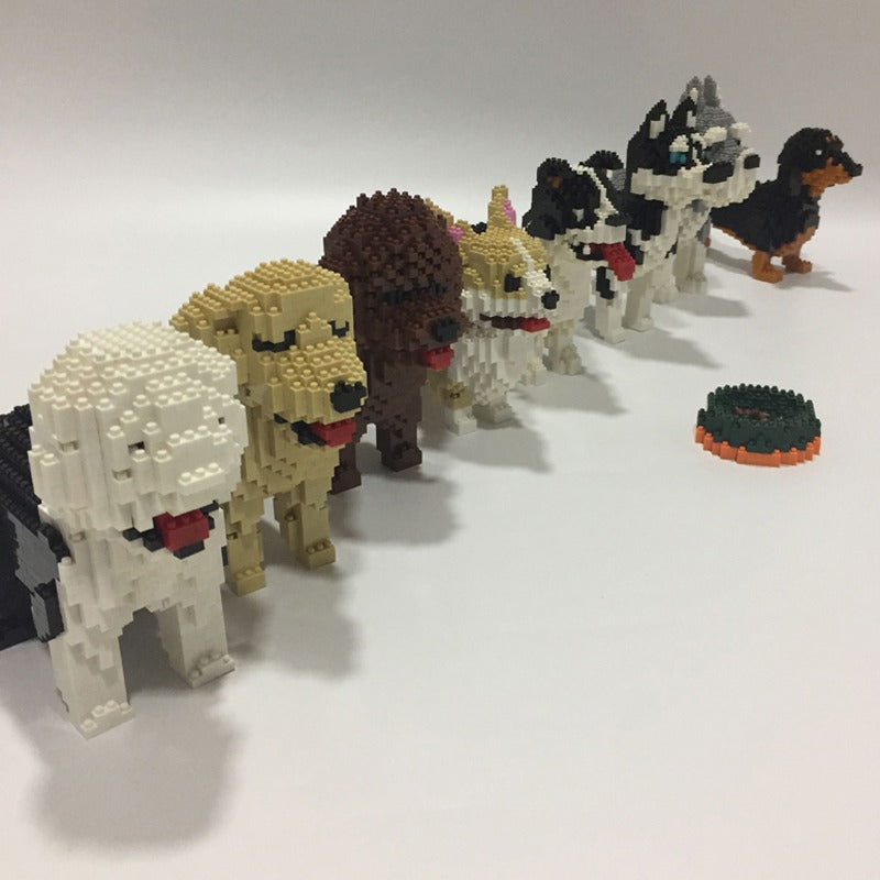 Katalanischer Schäferhund