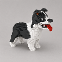 Border Collie  | Bausteine