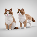 2 in 1 Ragdoll Katze | Bausteine