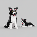 2 in 1 Border Collie | Bausteine