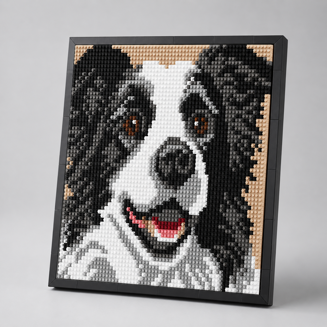 Border-Collie-Gemälde | Bausteine