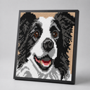 Border-Collie-Gemälde | Bausteine