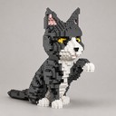 Graue Katze | Bausteine