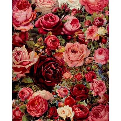Meer aus Rosen | Malen nach Zahlen