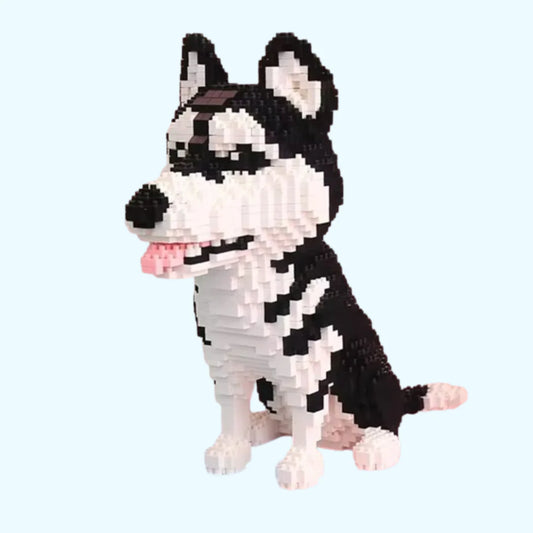 Husky |  Morgen zu Hause