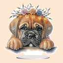 5D Boxer | Diamond Painting