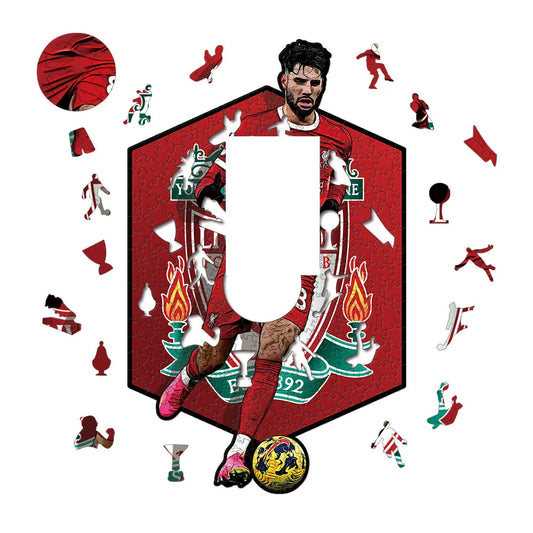 Dominik Szoboszlai | 2D Holzpuzzle