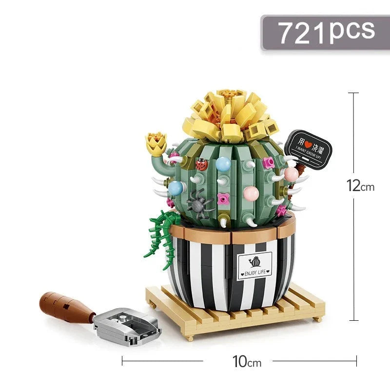 Kaktus | Bausteine