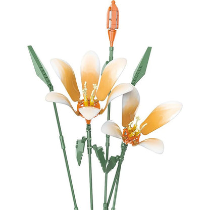 Farbige Lilien