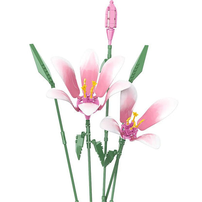 Farbige Lilien