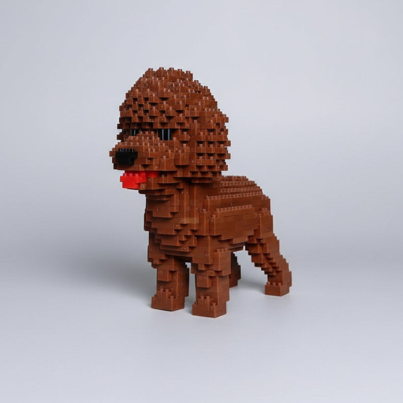 Brauner Pudel  | Bausteine