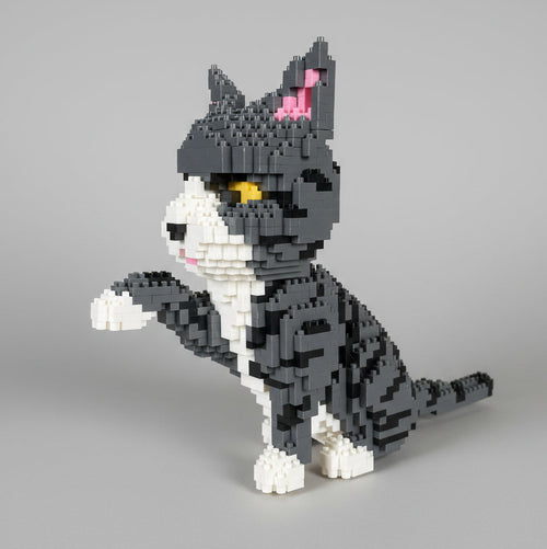 Graue Katze | Bausteine