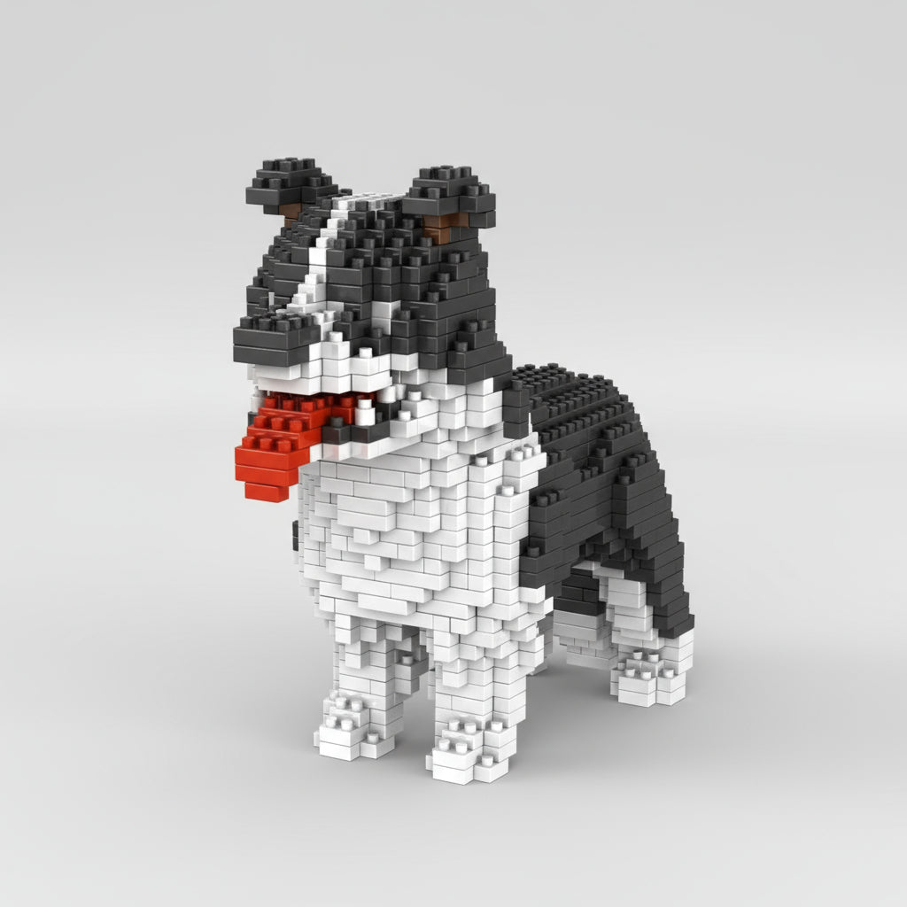 Border Collie  | Bausteine