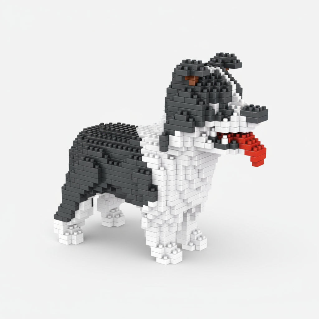 Border Collie  | Bausteine