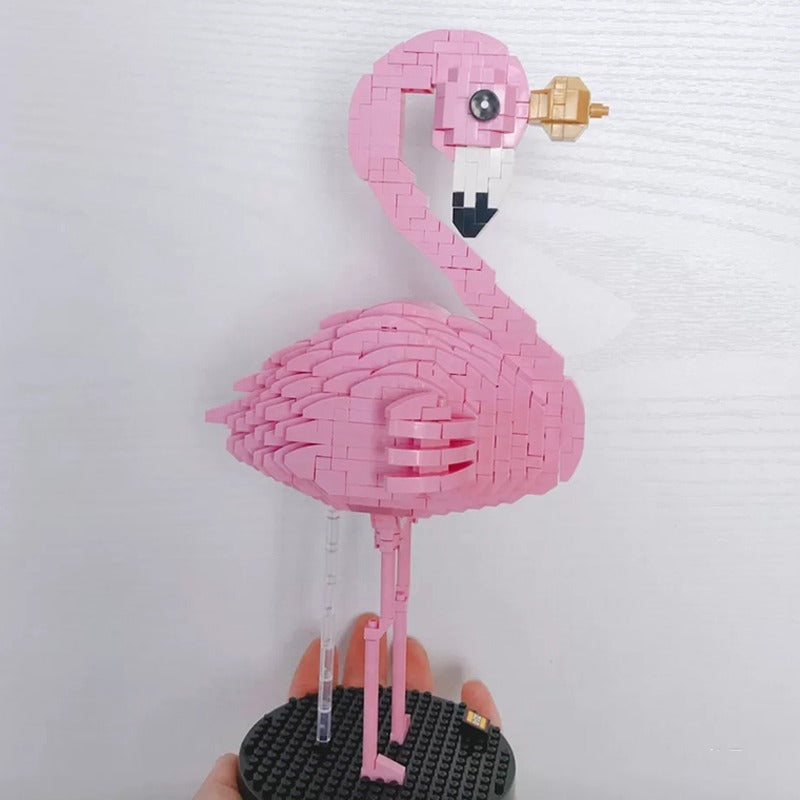 Flamingo - Morgen zu Hause