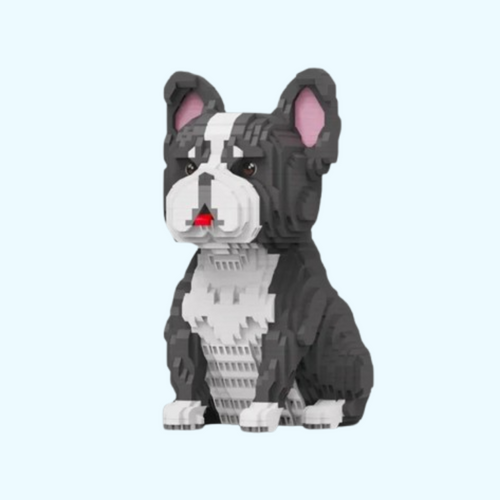 Französischen Bulldogge | Bausteine