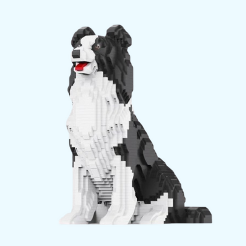 Border Collie | Bausteine