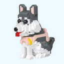 Grauer Husky