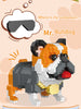 Bulldogge mit Sonnenbrille