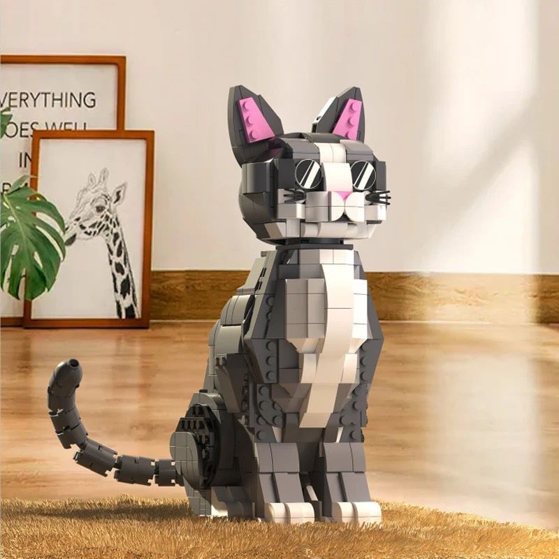 Schöne Katzen