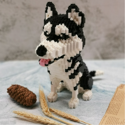 Husky |  Morgen zu Hause