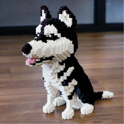 Husky |  Morgen zu Hause