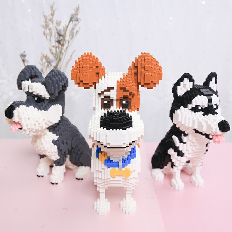 Husky |  Morgen zu Hause