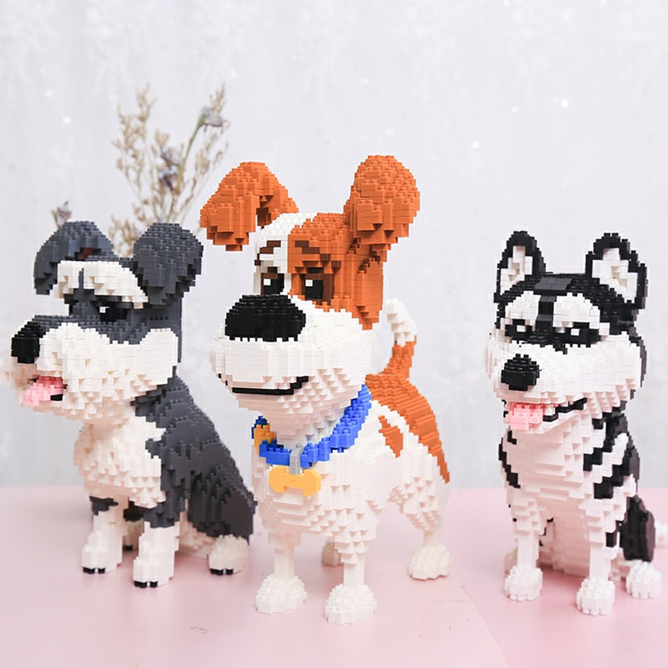 Husky |  Morgen zu Hause
