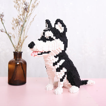 Husky |  Morgen zu Hause