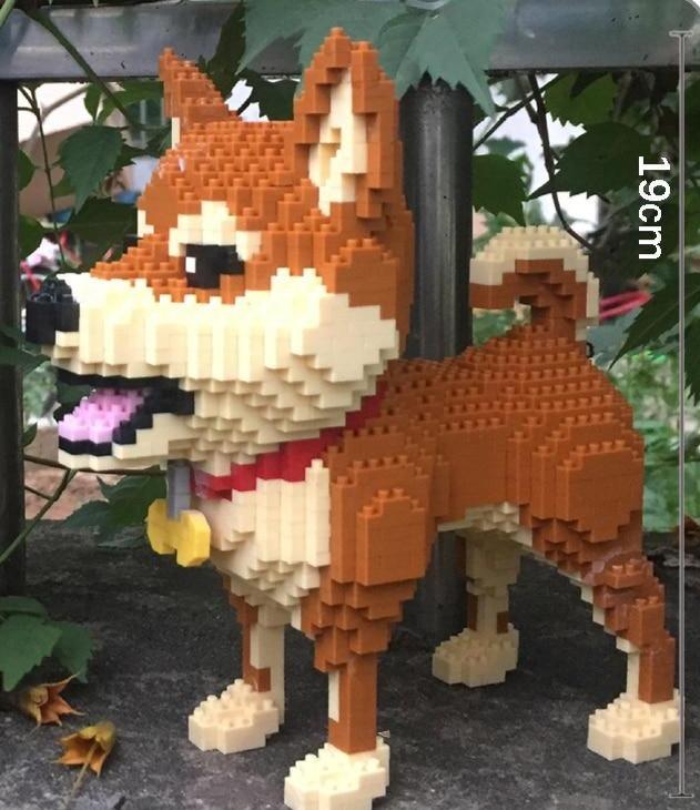 Shiba