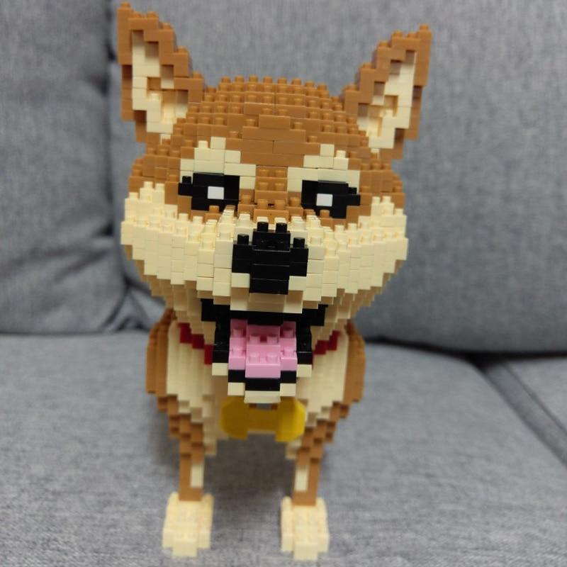 Shiba