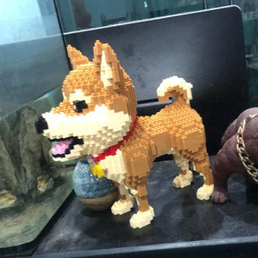 Shiba