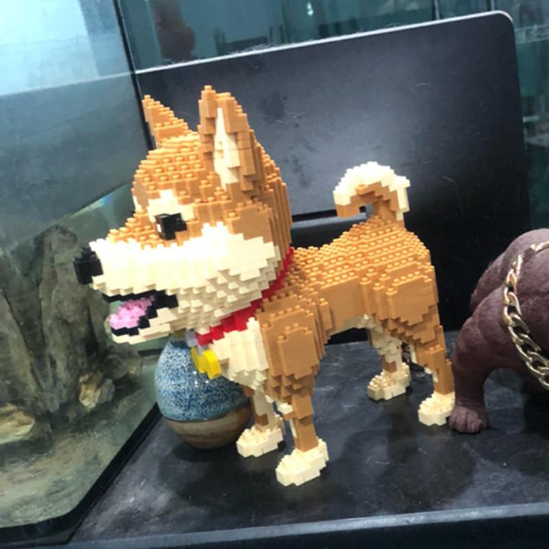 Shiba
