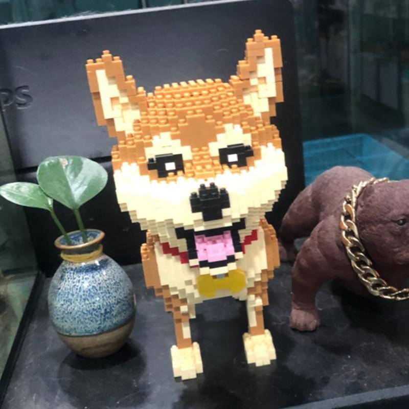 Shiba