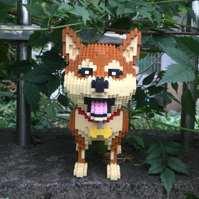 Shiba