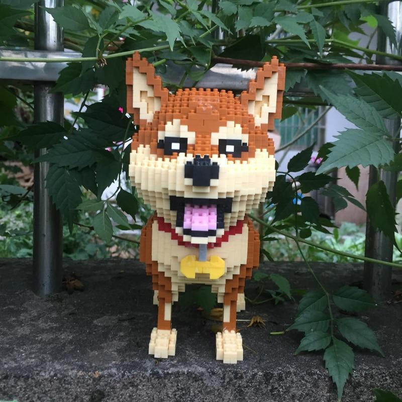 Shiba