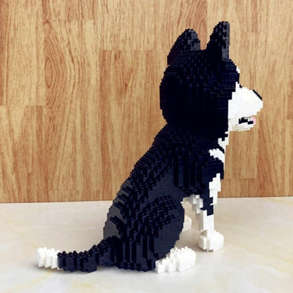 Husky |  Morgen zu Hause