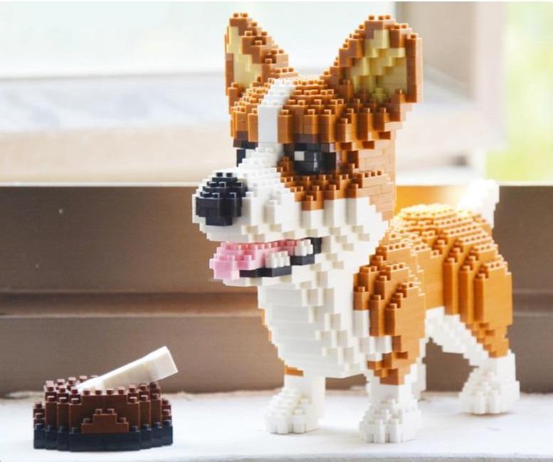 Waliser corgi | Morgen in huis