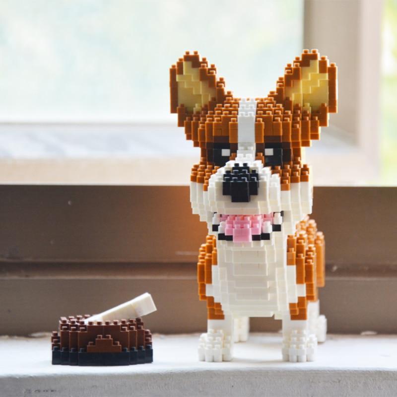 Waliser corgi | Morgen in huis